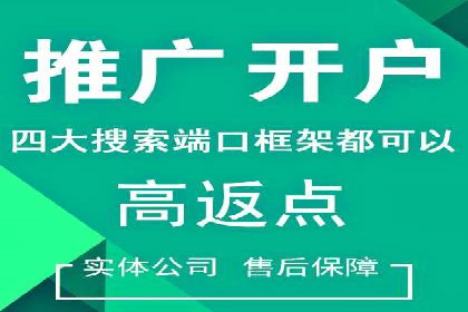 SEM代运营公司案例分析报告
